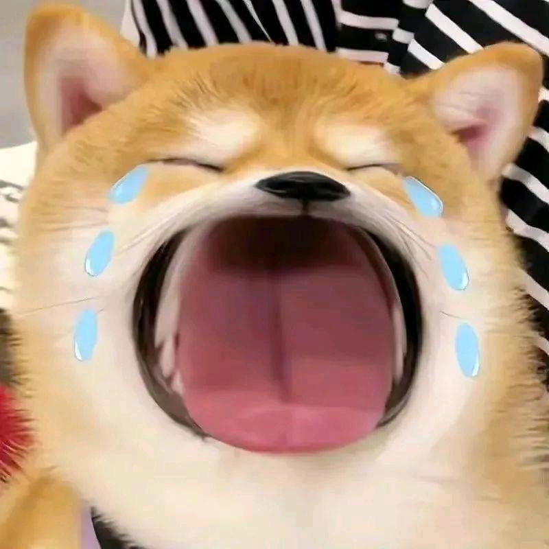 佛安（第五人格）