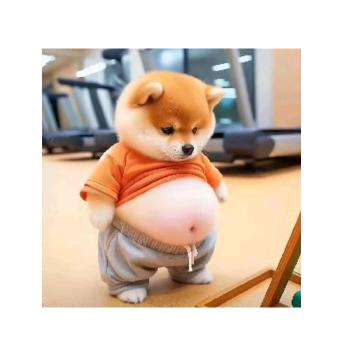 大企仔
