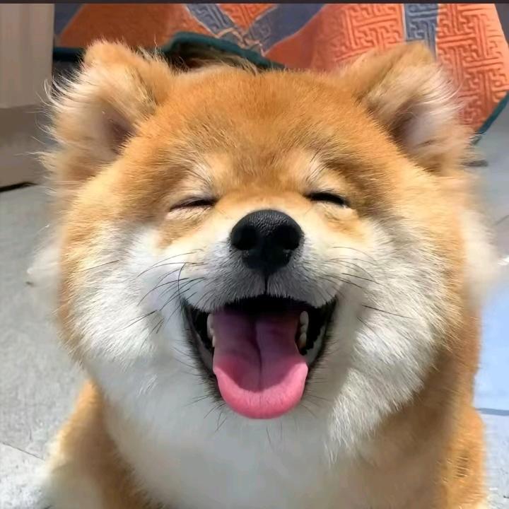 桑