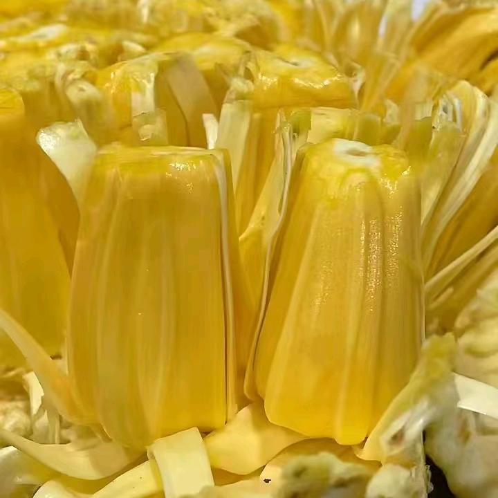 大秦果果先河国际店员