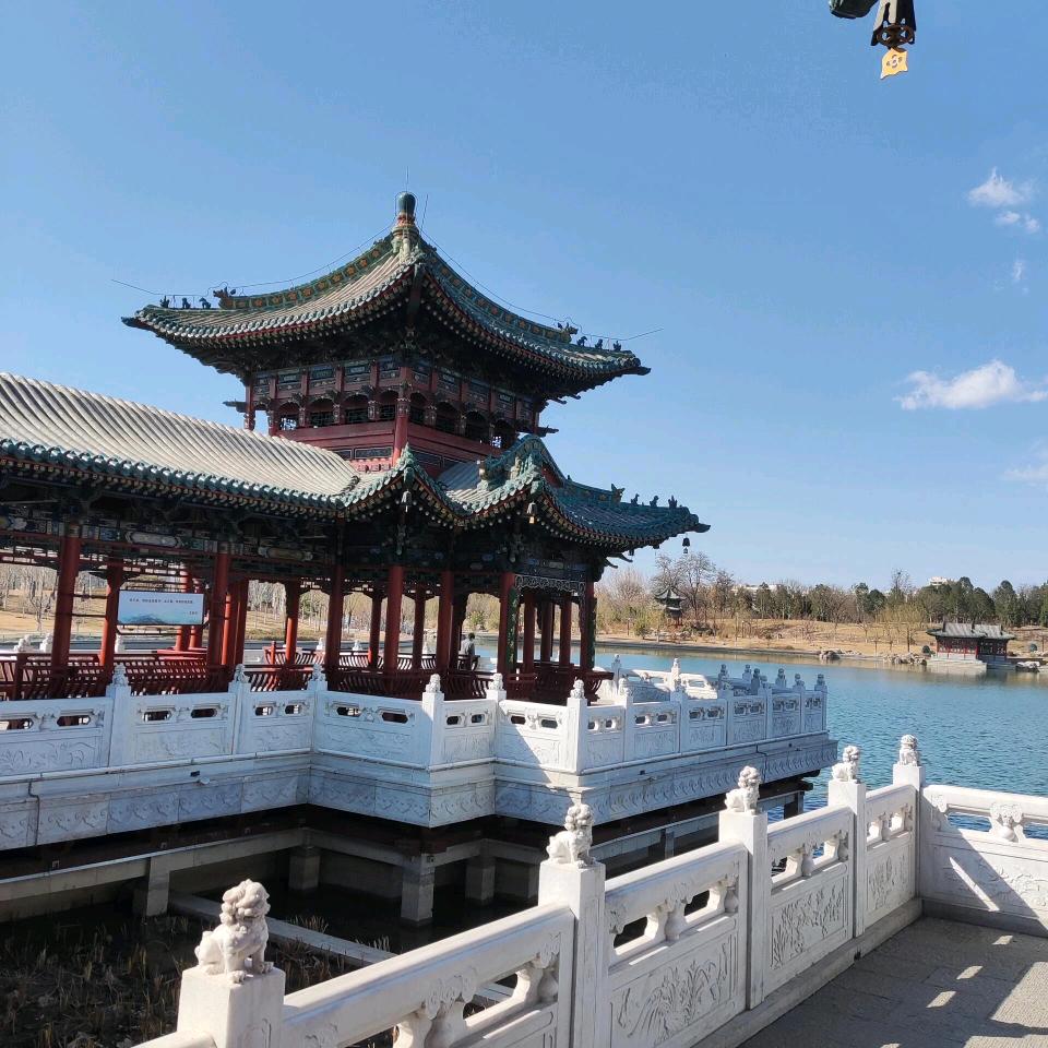 楊 光