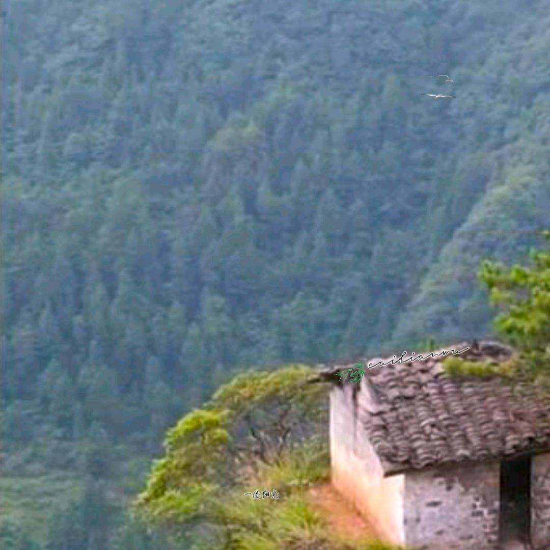 好来 屋