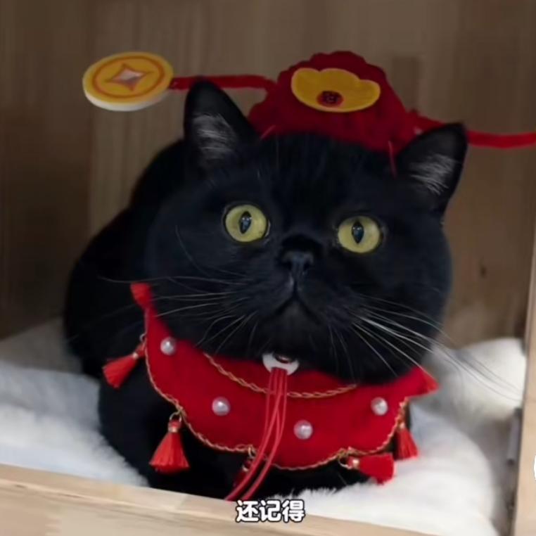 广式味道府