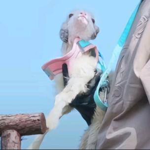 是穗晴吖