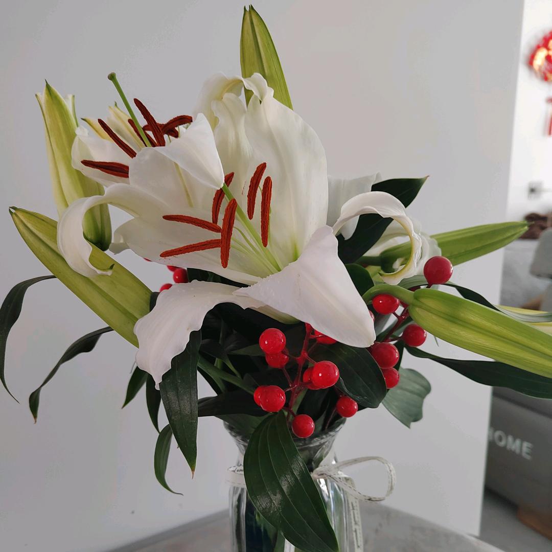 丑小鸭要逆袭