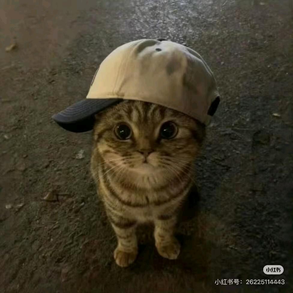 落叶的位置