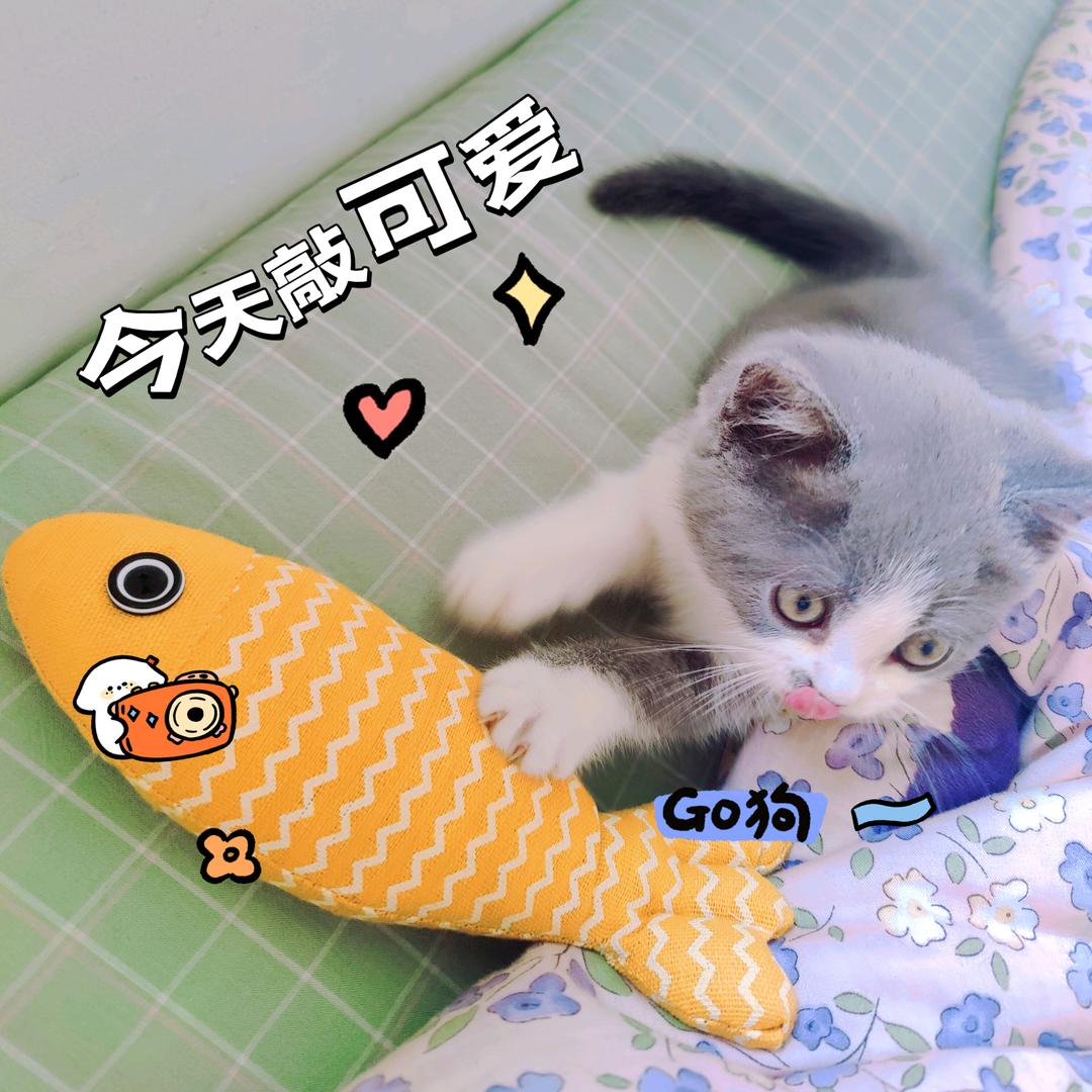 小葡萄在好好长大🍇