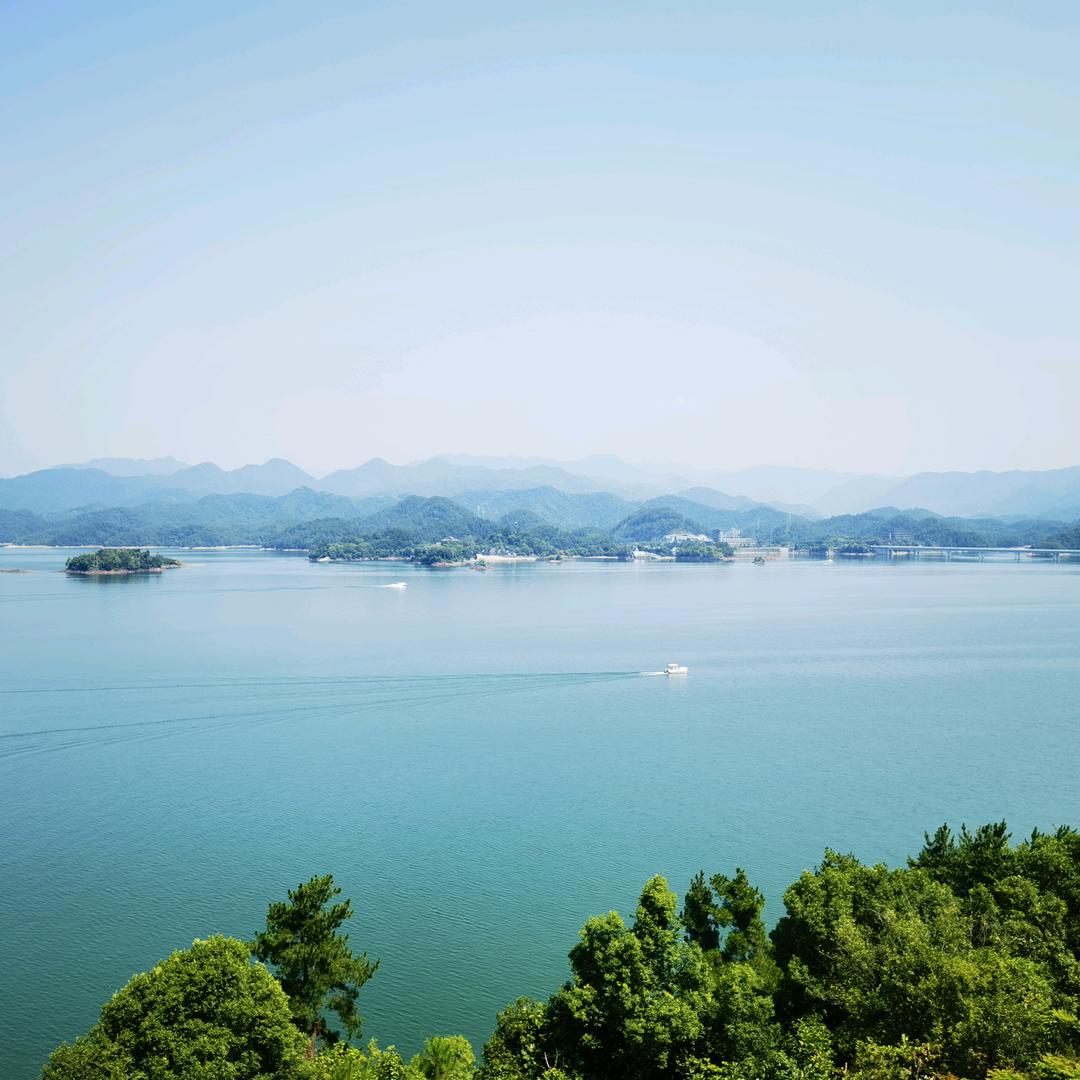 情感帮忙