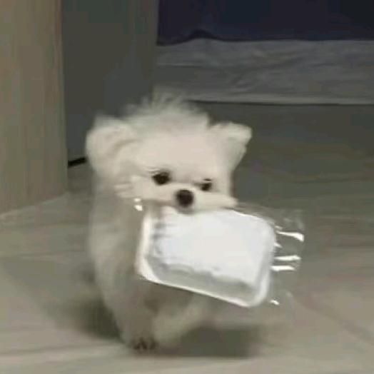 韫.🍂