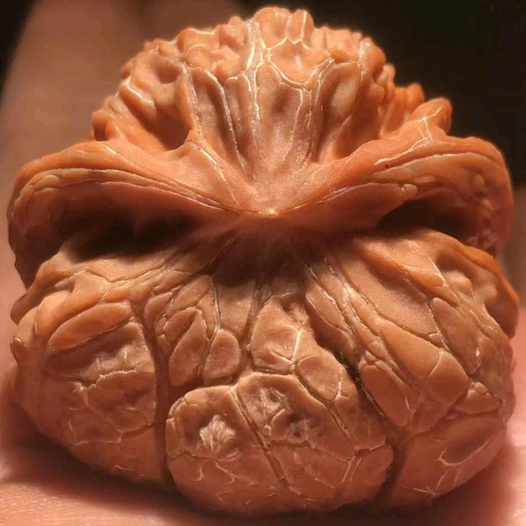 阿灿文玩