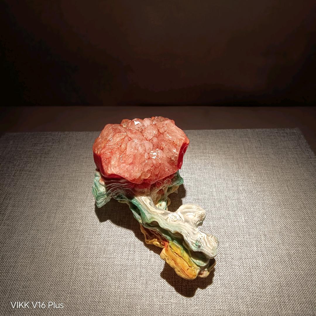 独持已见   一意孤行