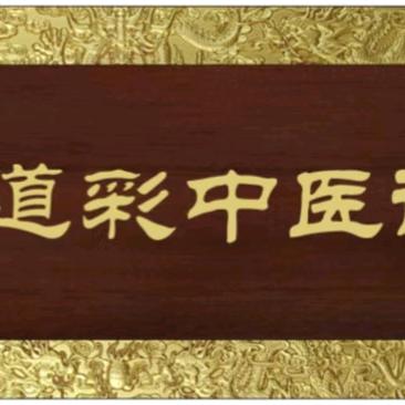 追求中国国学中医文化