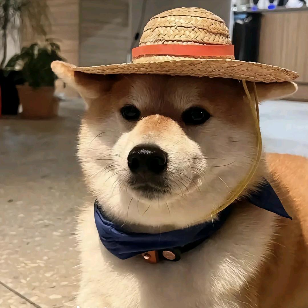 山不语