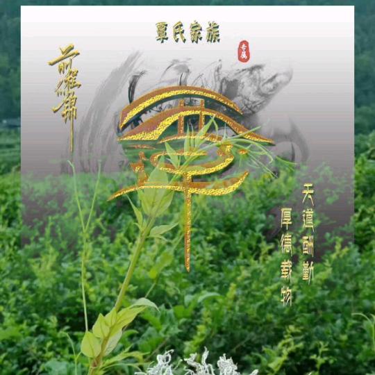 农村大叔