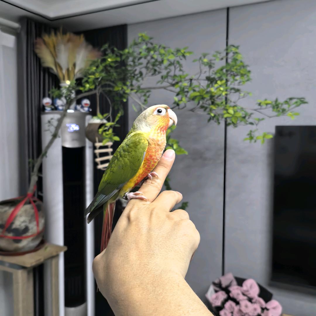 逸辰鲜味馆