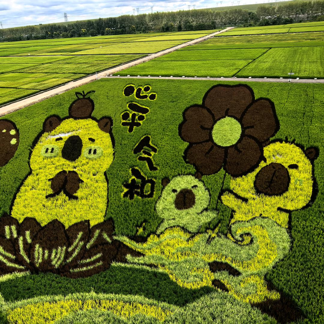 再闯关东