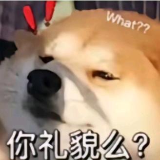 🌊七