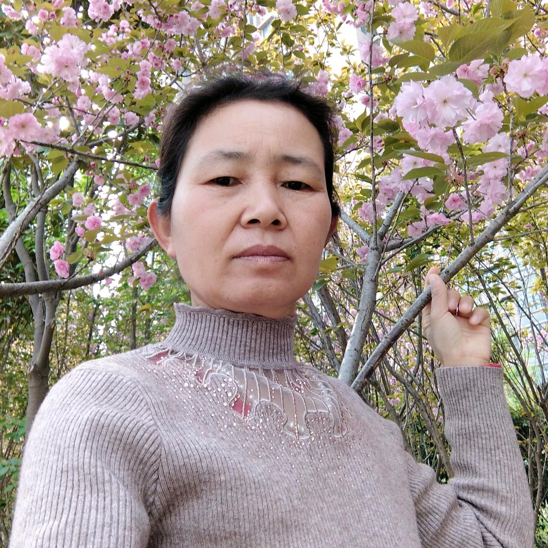 冯侠《不定时开播》