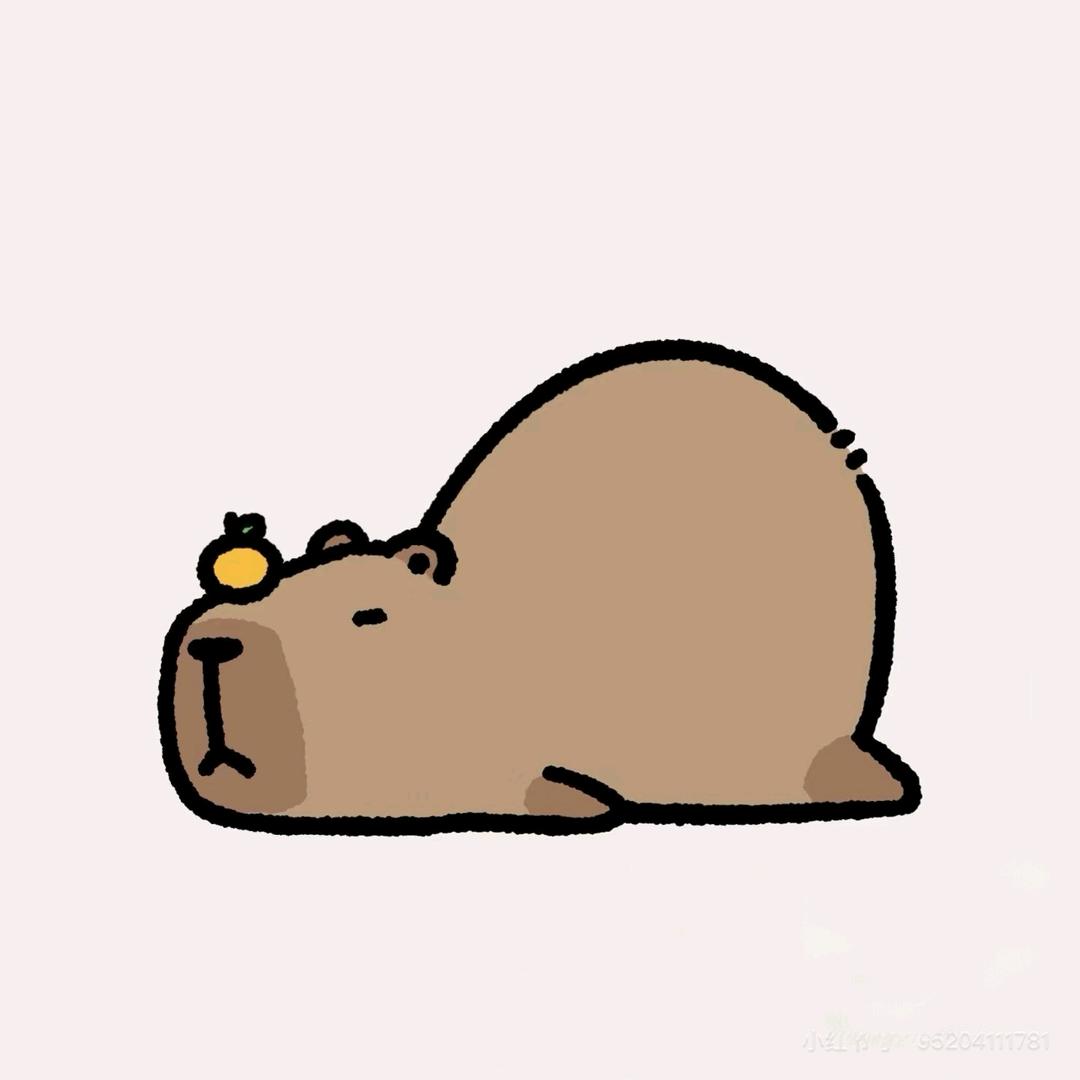 青柠猜谜