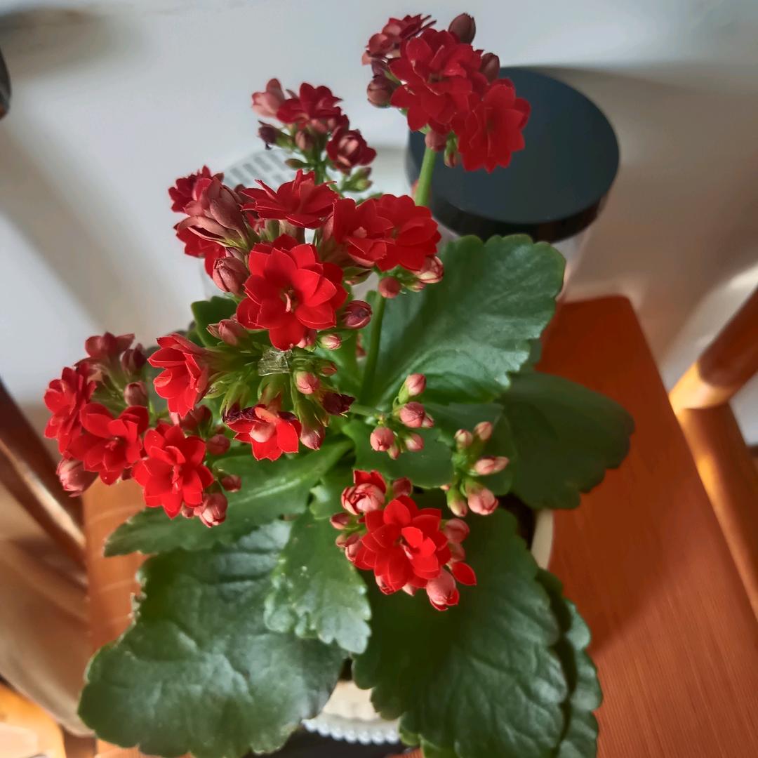 面朝大海春暖花开