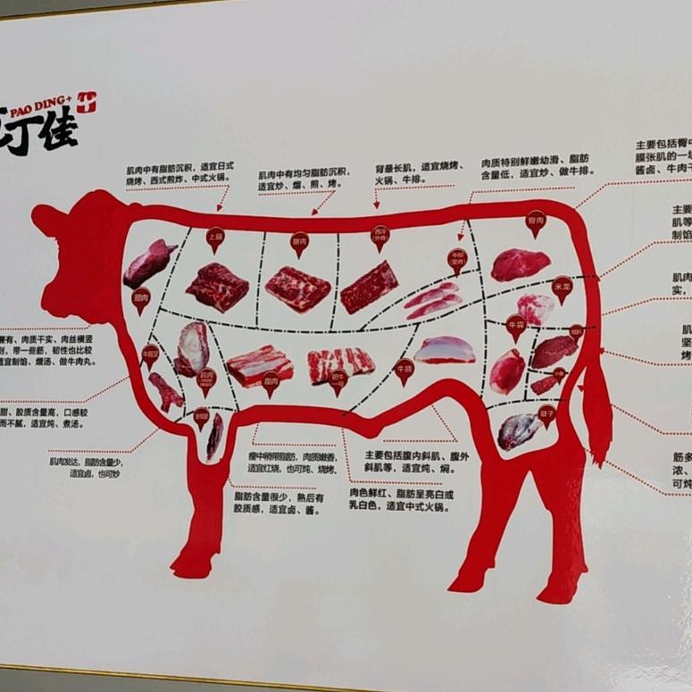 上海庖丁佳工厂直供