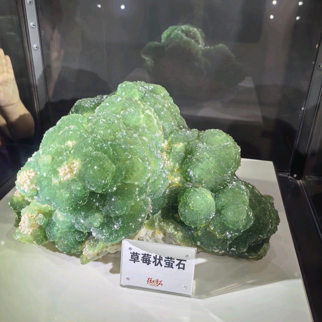 从头来过