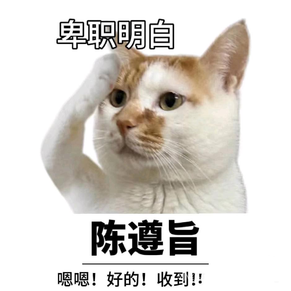 沉颜