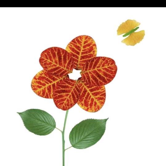 慧儿