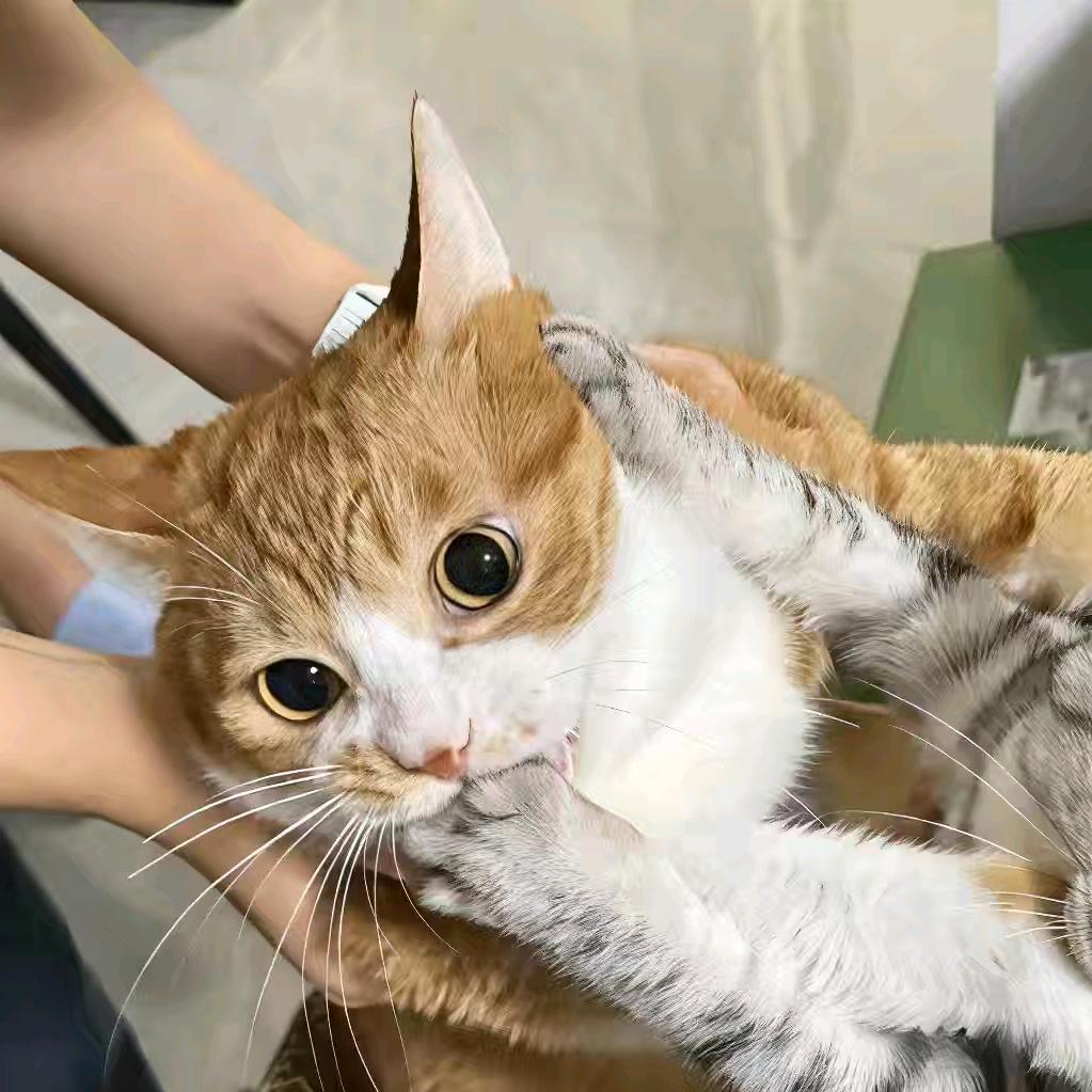 快乐