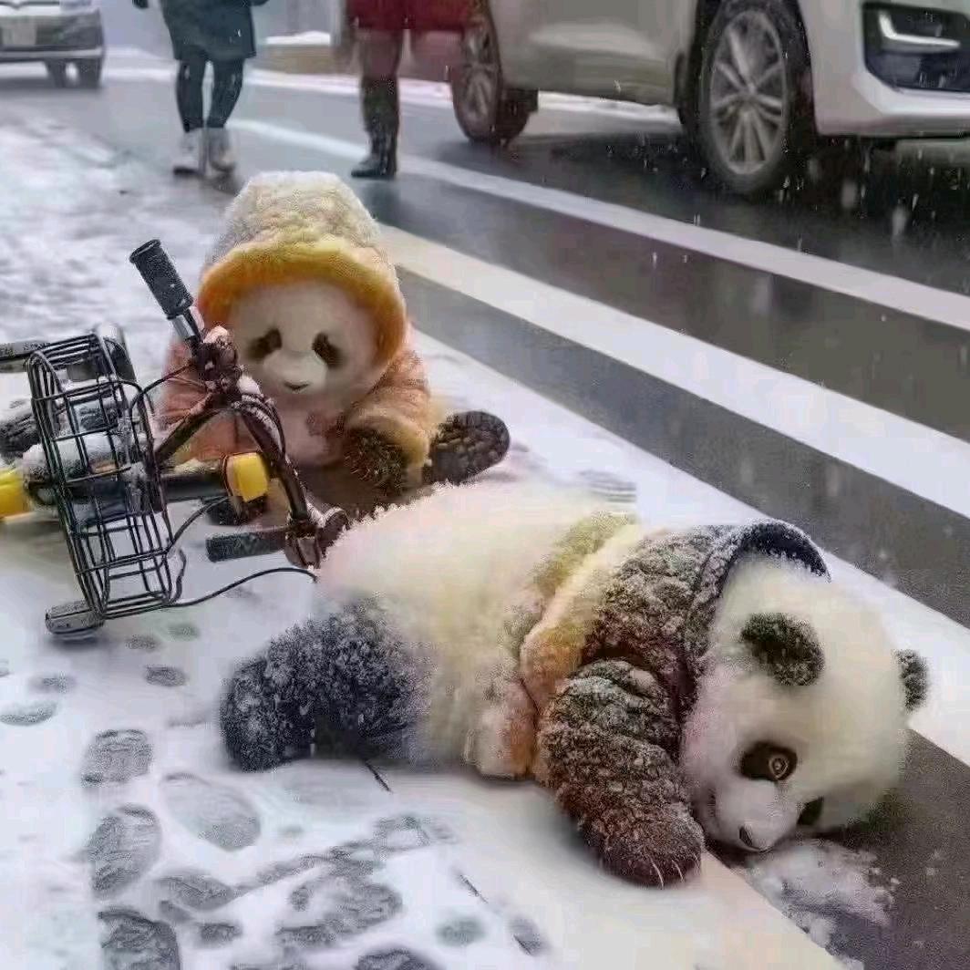 宁先生