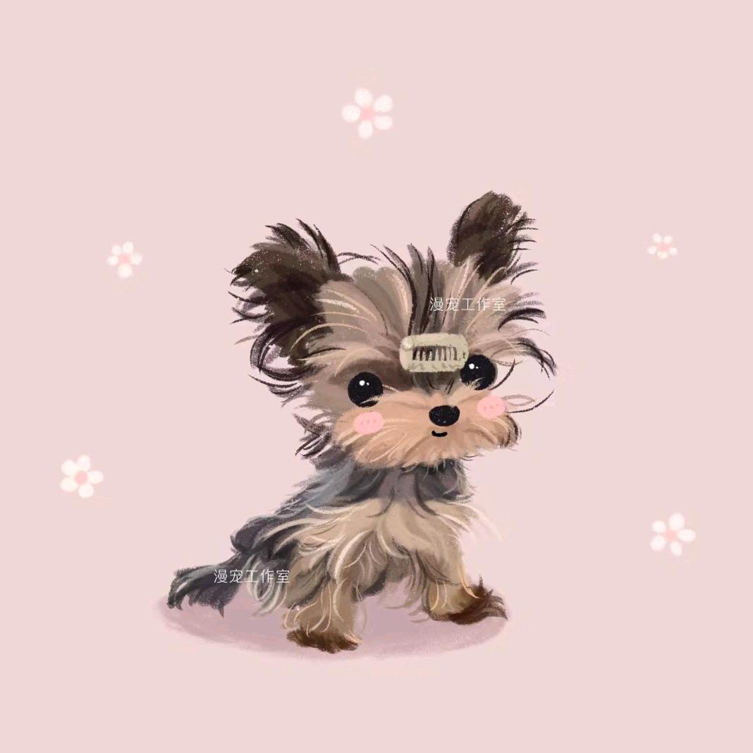 檬檬哒🐶约马西