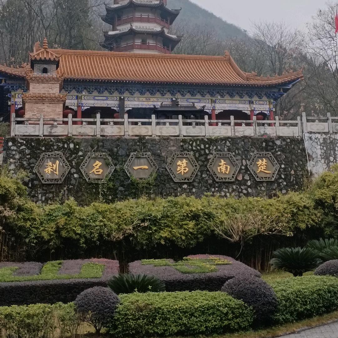 自律镖局总镖头（摆烂马）