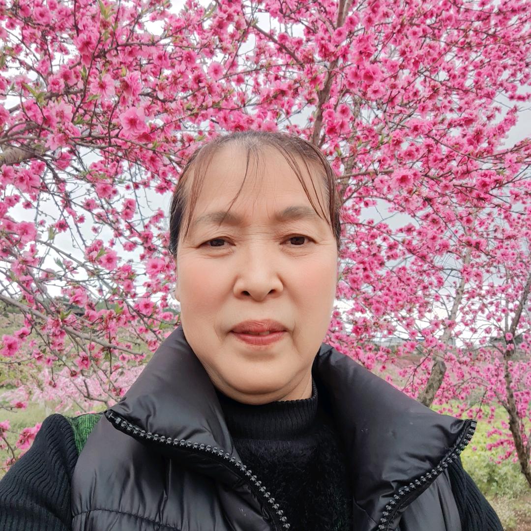 陈大姐（每天不定时直播）