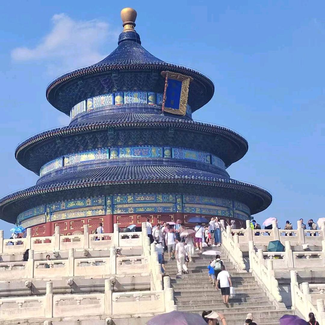 寻飞