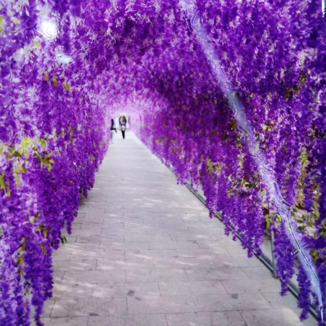 花好月圆