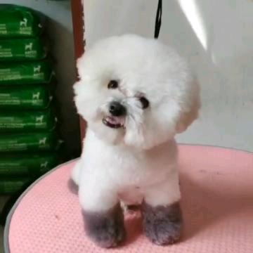 宝宝是我们的小宝宝