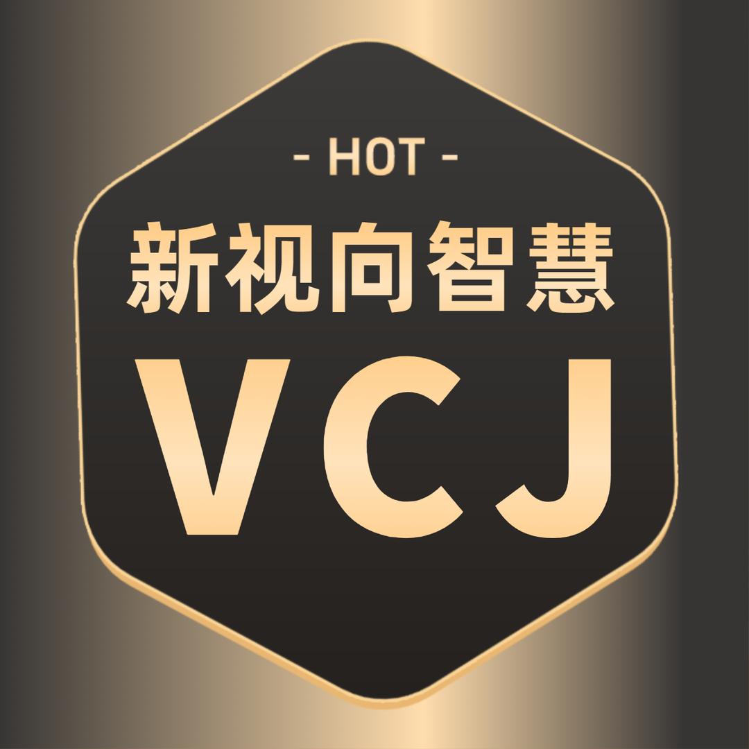 新视向智慧