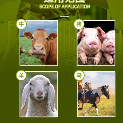 老牛👉猪牛羊养殖服务