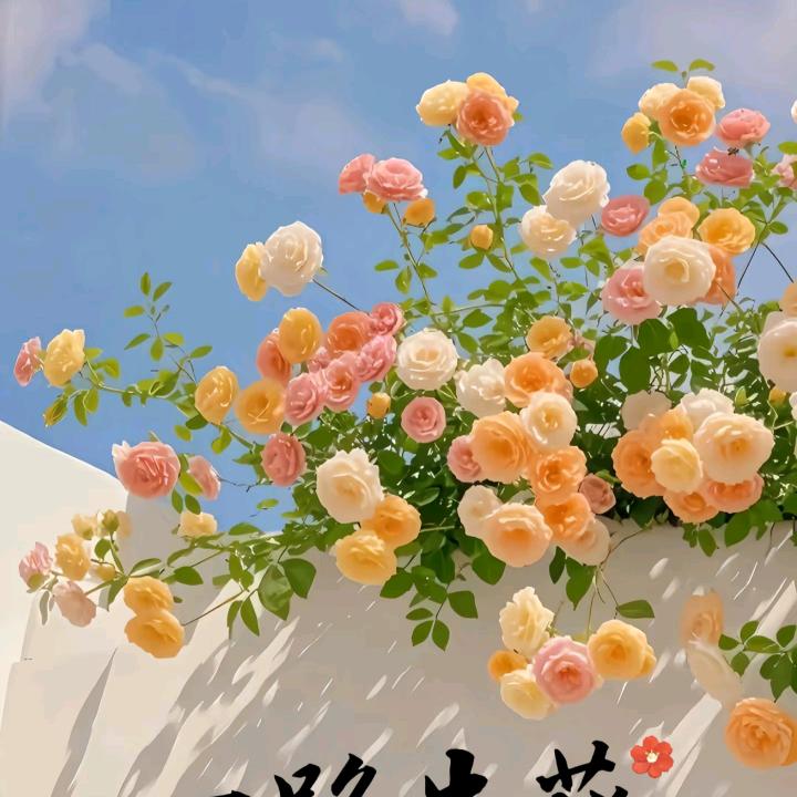 盒子袋子拆拆拆