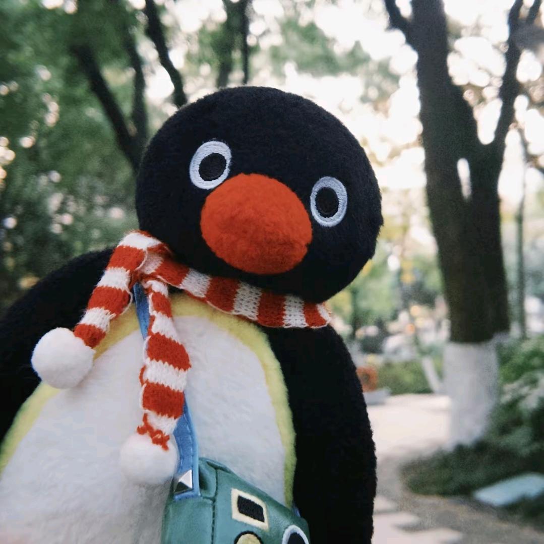 小小pingu观察员