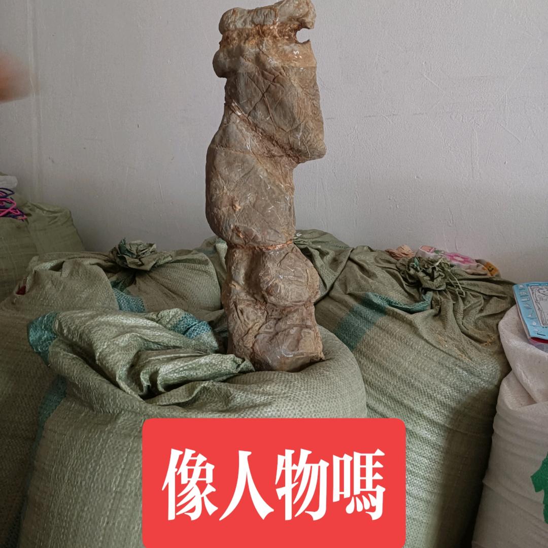 风情浪子