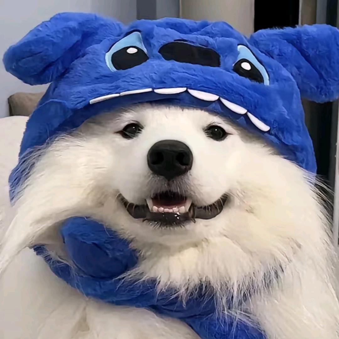 茶颜观色