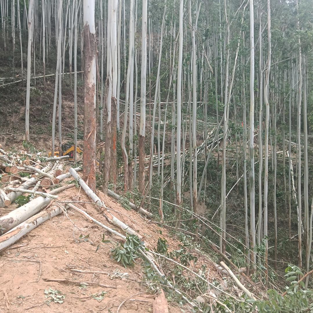 东山再起风生水起