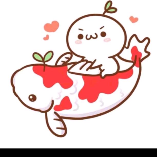 张老师古坊康养