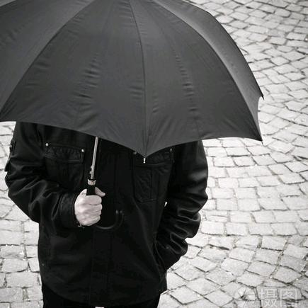 雨卫探案