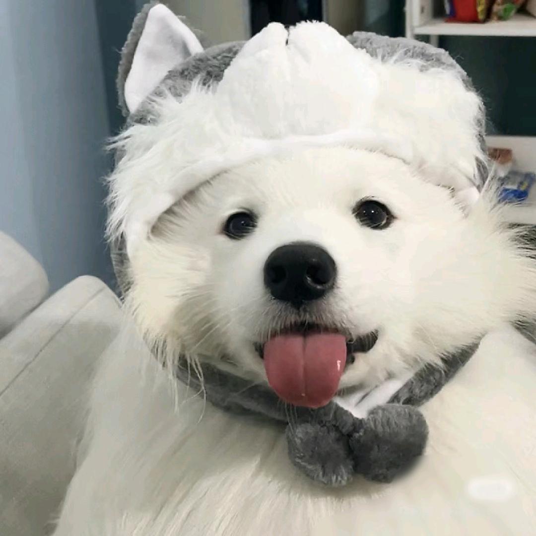 小尹同学