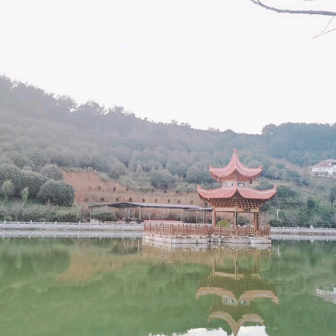 螺丝