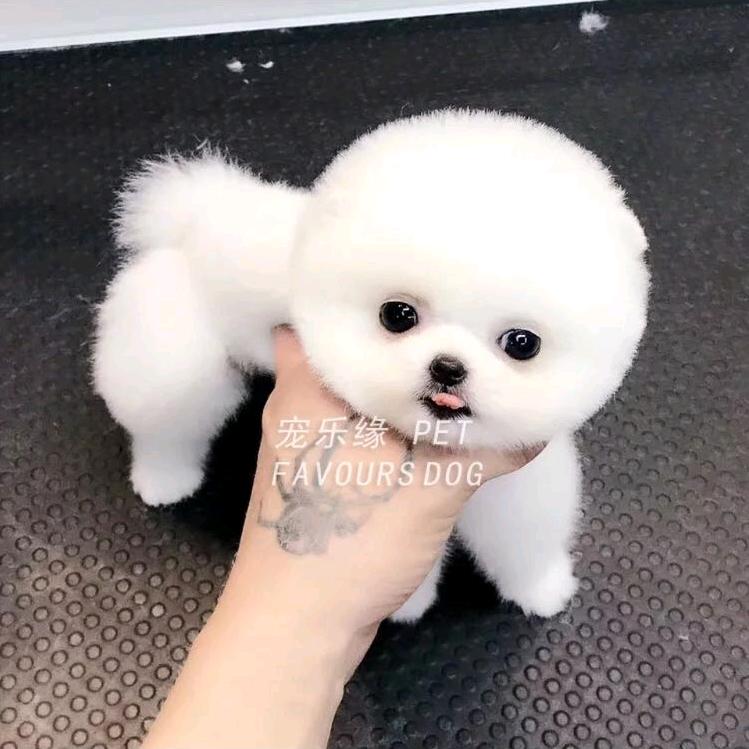 没有名