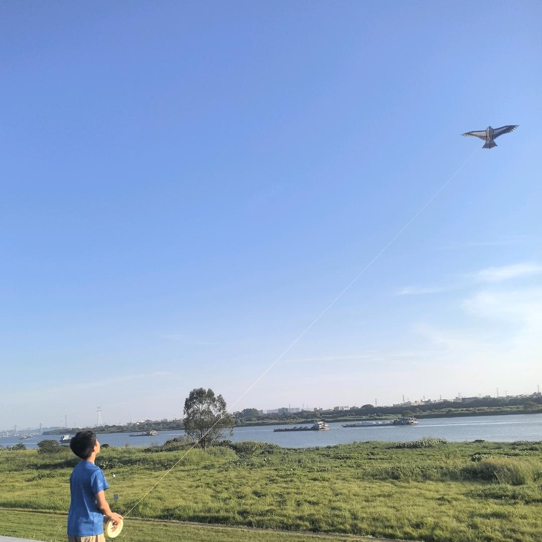 小鱼儿888