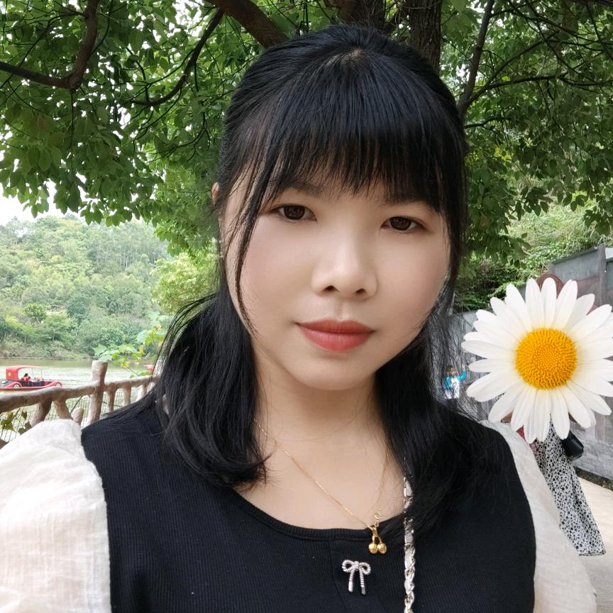 小凤凰